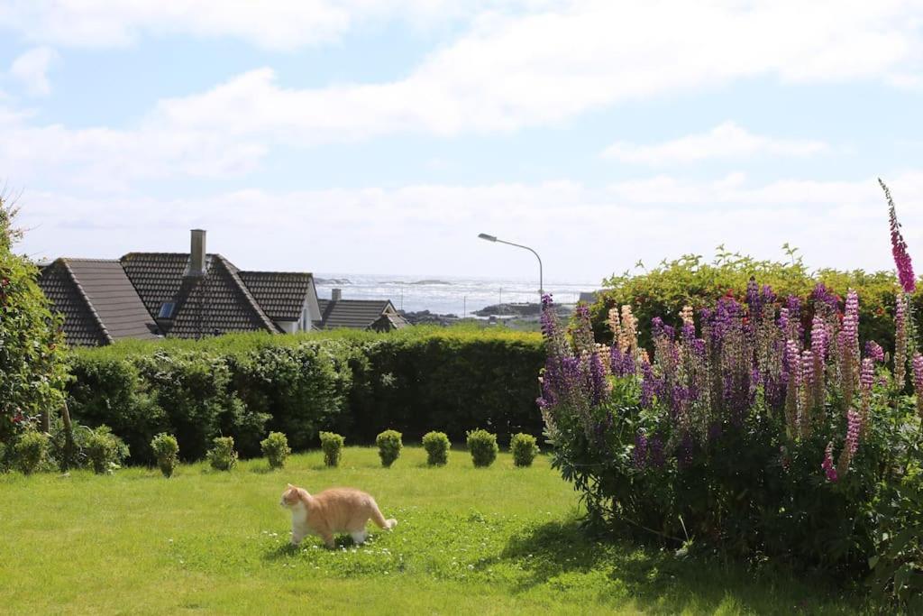 Sandve Exteriér fotografie