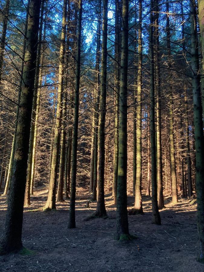 Sandve Exteriér fotografie